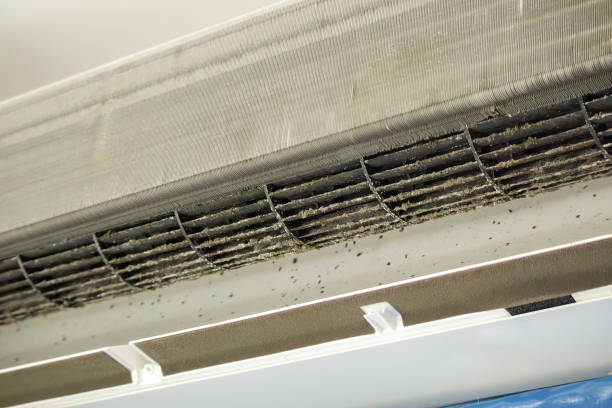 Best Air Duct Cleaning Near Me  in Oak Hills Pce, LA